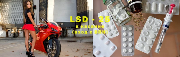 ПСИЛОЦИБИНОВЫЕ ГРИБЫ Белокуриха