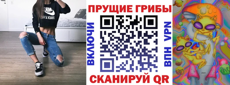 Псилоцибиновые грибы Psilocybine cubensis  Минеральные Воды 