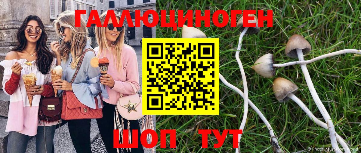 Псилоцибиновые грибы GOLDEN TEACHER  Вход с VPN  Псилоцибиновые грибы ЛСД  Минеральные Воды 