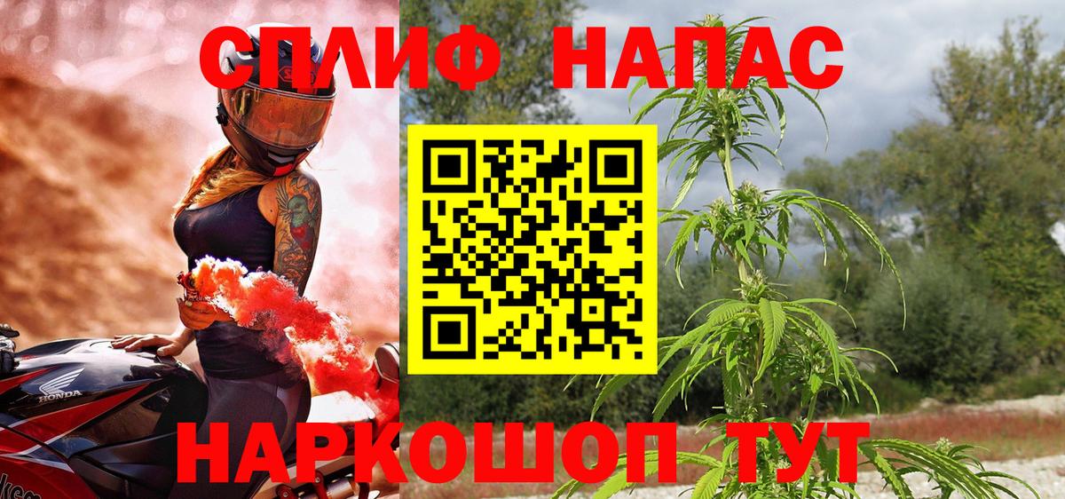 Шишки марихуана конопля  МАРИХУАНА план  Вход с VPN  Марихуана семена  МАРИХУАНА OG Kush  Минеральные Воды 